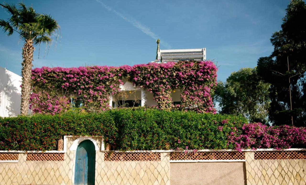 Vent Des Dunes Essaouira Exterior photo